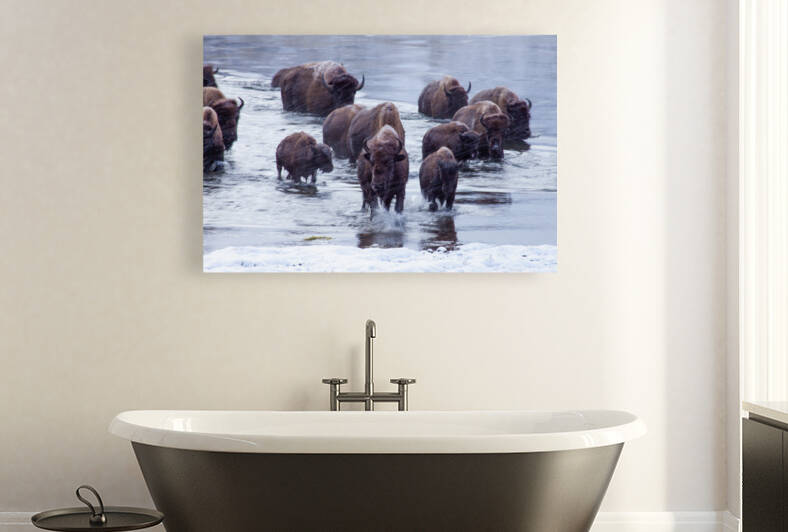 IMG 2895 by jshansen