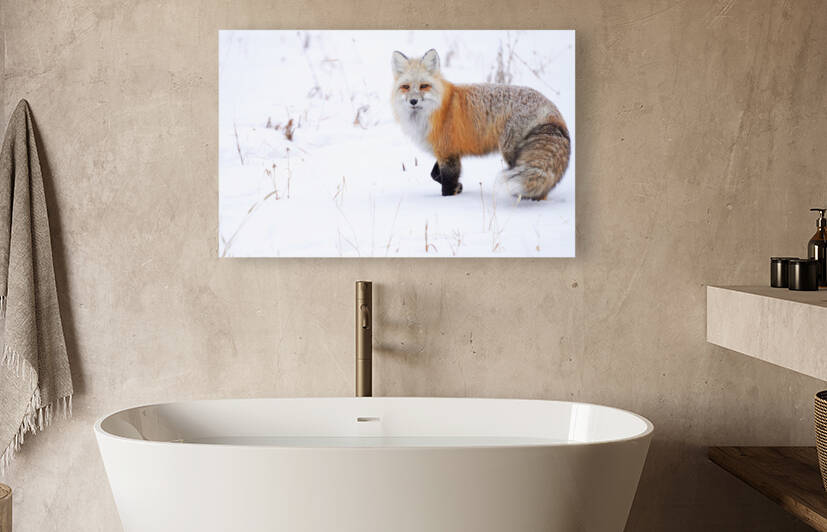 DSC03412 2 by jshansen