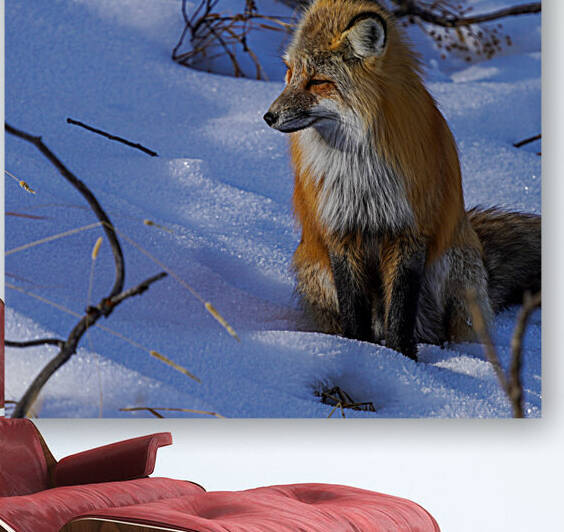 DSC03195 2 by jshansen