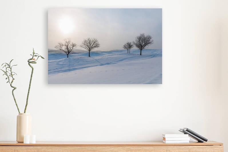 DL100203 07 by Don Landwehrle