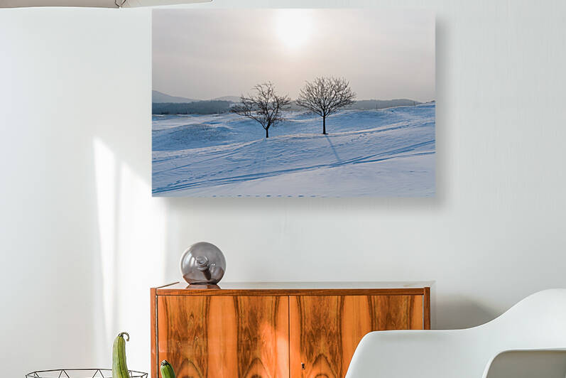 DL100203 03 by Don Landwehrle