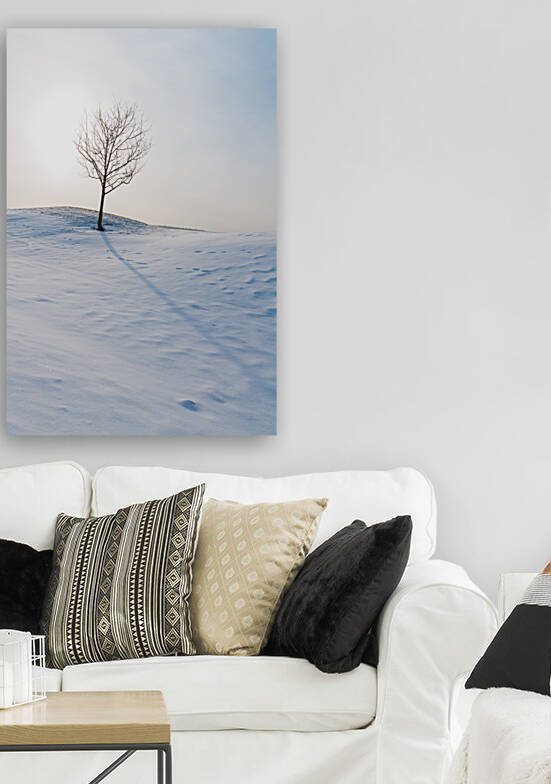 DL100203 44 by Don Landwehrle