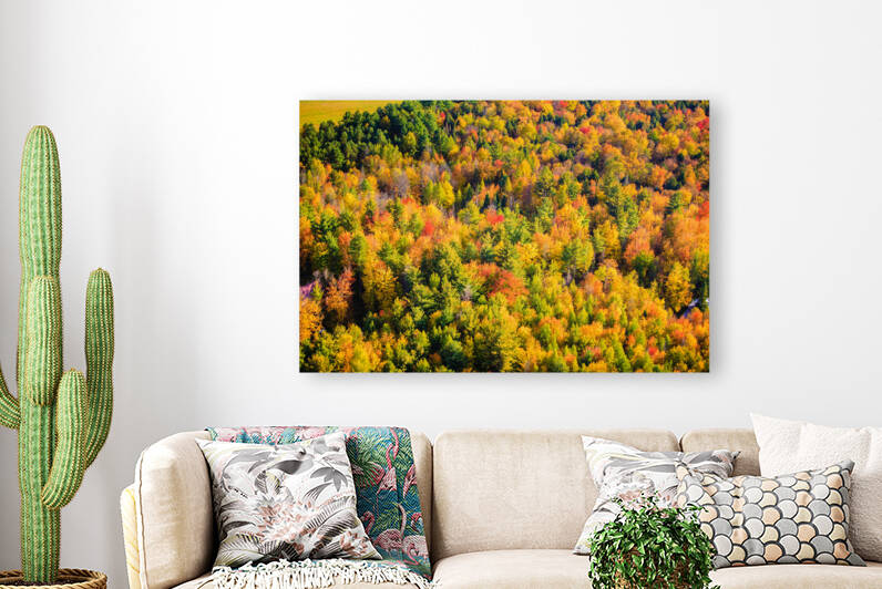 DL031010 005a by Don Landwehrle