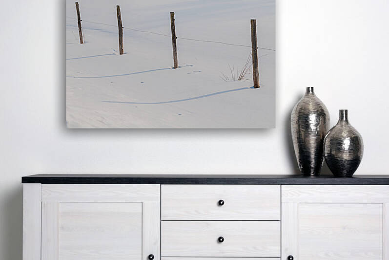 DL100203 49 by Don Landwehrle