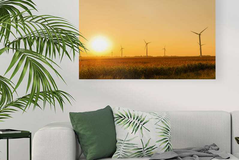 DL100823 048a by Don Landwehrle