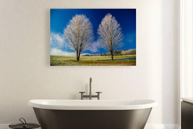 DL101103 298 by Don Landwehrle