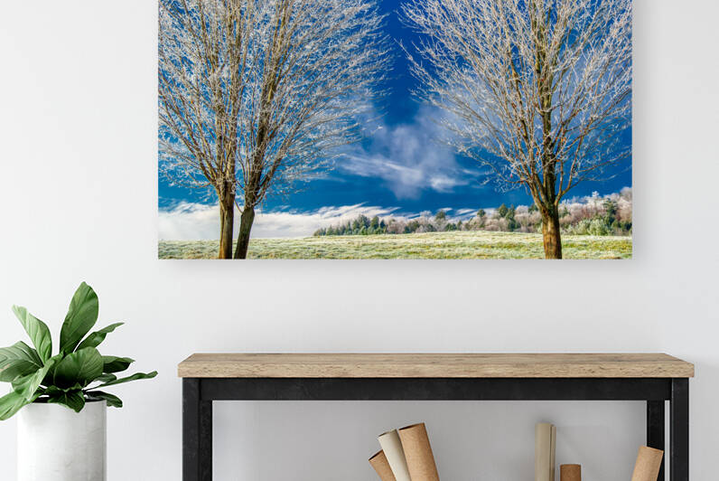 DL101103 296a by Don Landwehrle