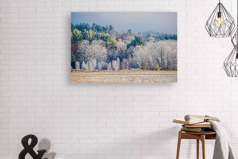 DL101103 225 by Don Landwehrle