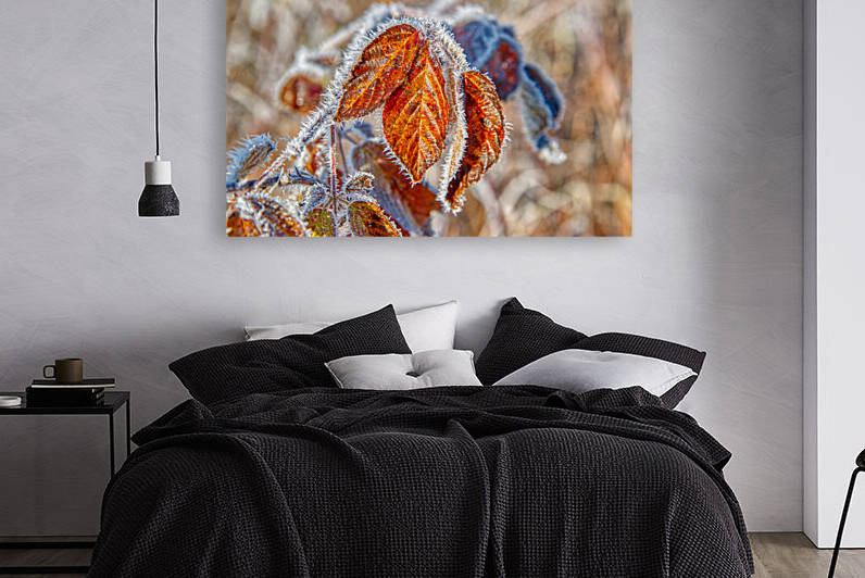 DL101103 136a by Don Landwehrle