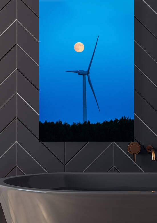 DL100823 163 by Don Landwehrle