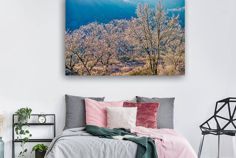 DL101103 057a by Don Landwehrle