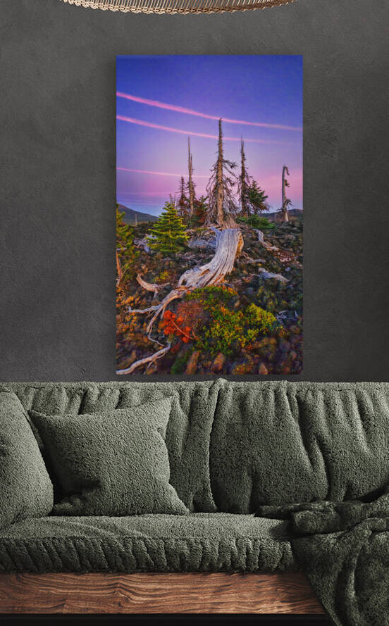 Oregon by Barbara Linkevitch