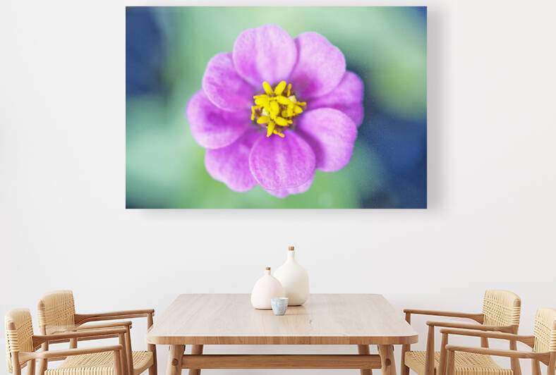 Magenta Mini Dahlia on Green and Blue by Iris H Richardson