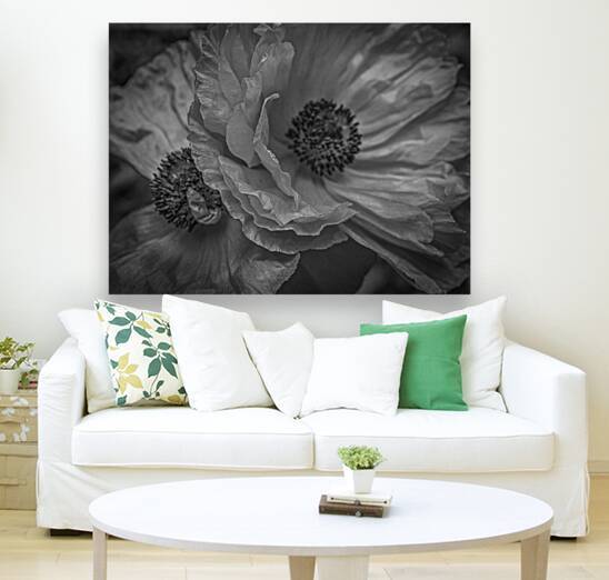 Night Poppies by Lisa Drew