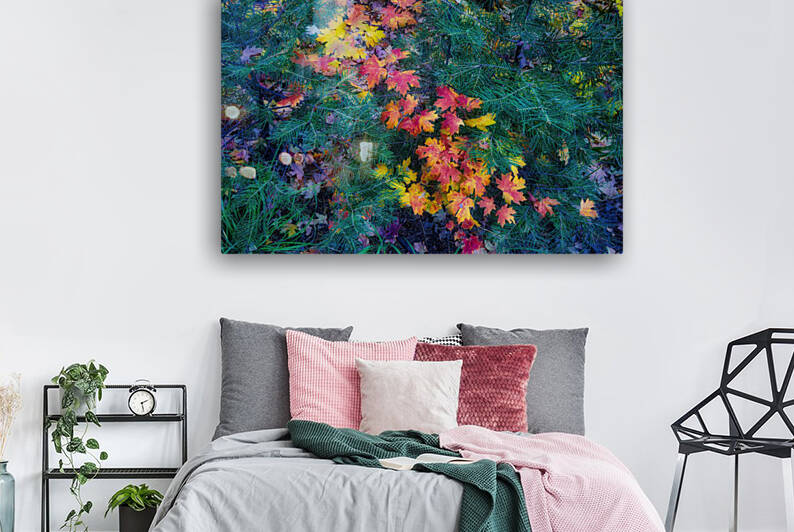 Bear Wallow Colors 10 2021 by Eduardo Palazuelos