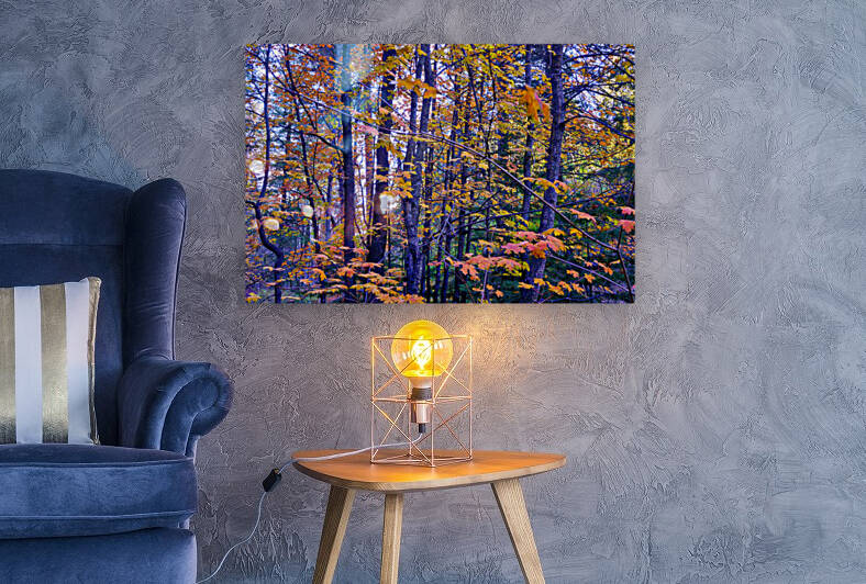 Bear Wallow Fall Tapestry 10 2021 by Eduardo Palazuelos