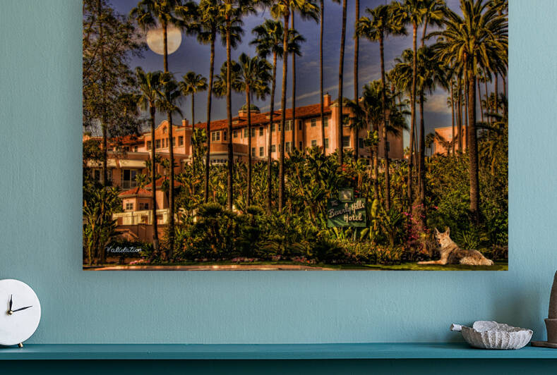 Validation by Barbara Linkevitch