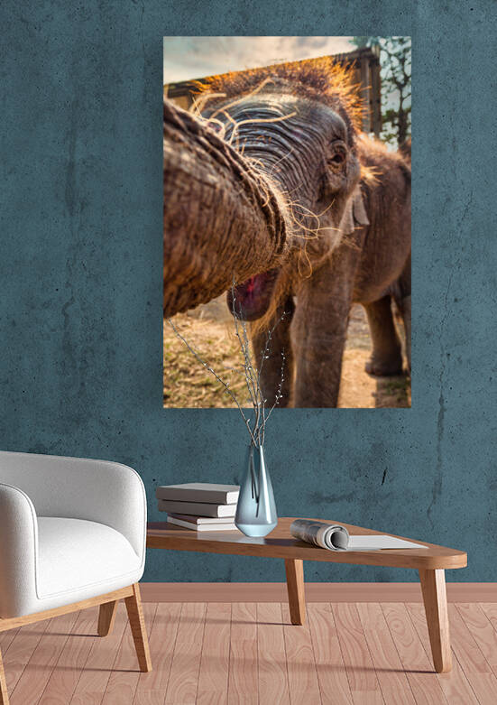 Curious Baby by Beth Sheridan