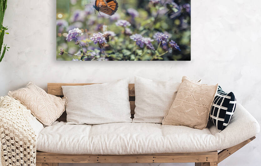 Exploration by Fabien Dormoy