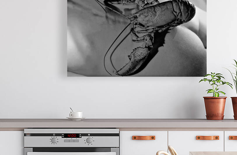 Lobster Ass by Barbara Linkevitch