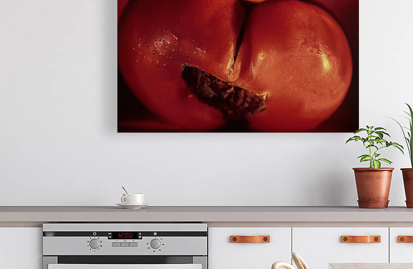 Dolores by Barbara Linkevitch