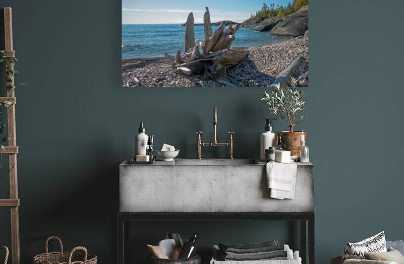 Prairie Cove Driftwood Print by Stephen Emms
