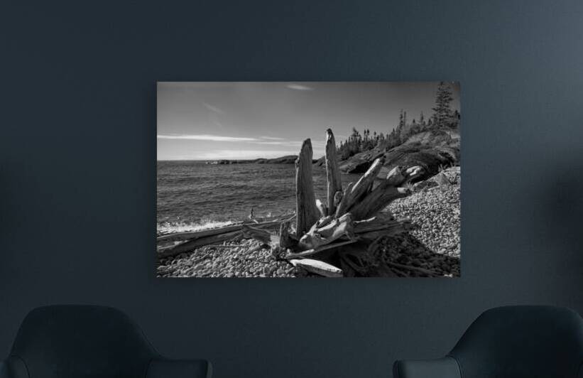 Prairie Cove Driftwood B&W Print by Stephen Emms