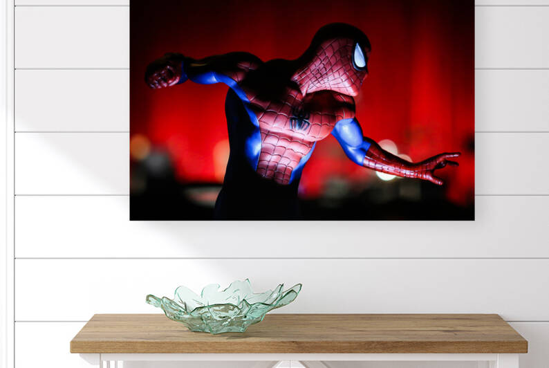 Nerd Cave Photography - Profile A La Spidey  by Steve Alejandro