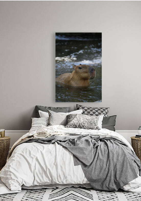 pexels rutpratheep nilpechr 6447547 by Wrangler Walker