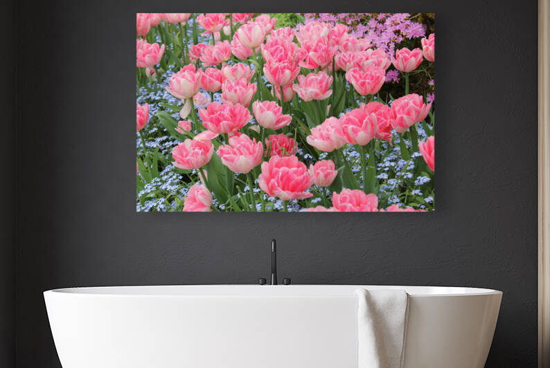 pexels alex ohan 12513137 by Wrangler Walker