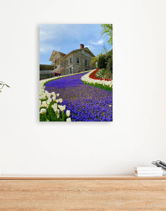 pexels pir sumeyra 11945645 by Wrangler Walker