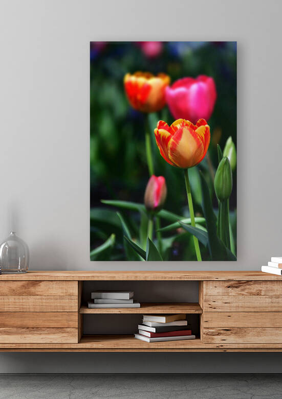 pexels ali rashidi 3780758 by Wrangler Walker