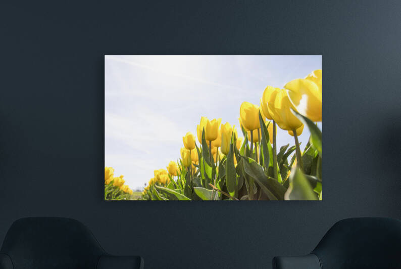 pexels pixabay 159406 by Wrangler Walker