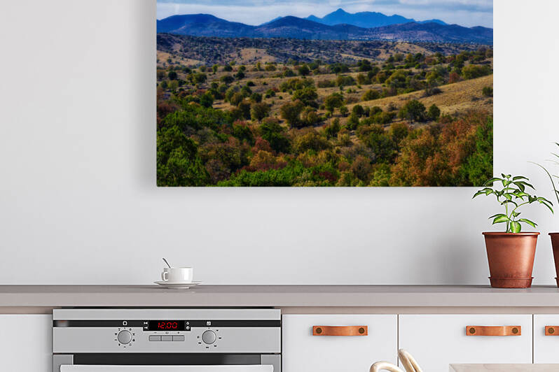 Rolling Hills in Southern Arizona by Eduardo Palazuelos