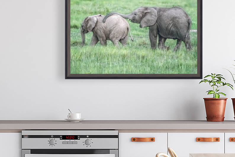 Baby Elephants Hugging  by Kara Capaldo Photography