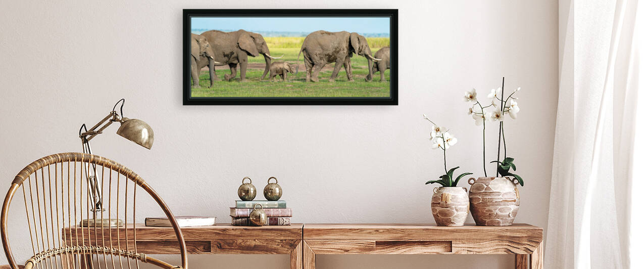Elephants in a Row   Baby in Middle  by Kara Capaldo Photography