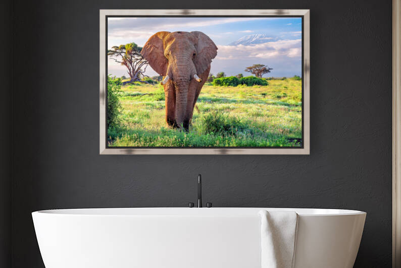 Elephant Kilomangero by Kara Capaldo Photography