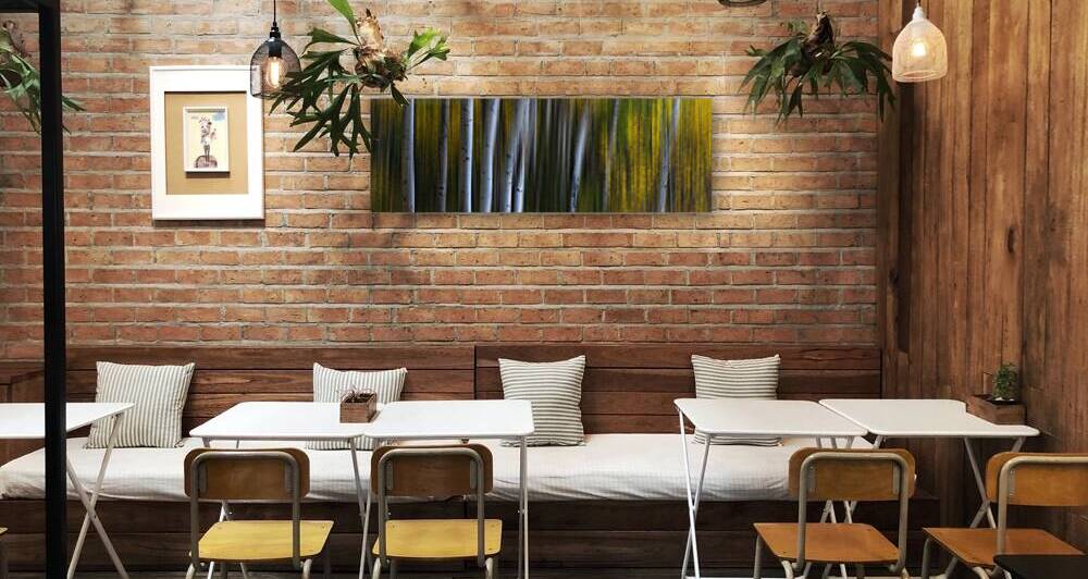 Roosevelt National Forest Wilderness Wonderla by Bo Insogna