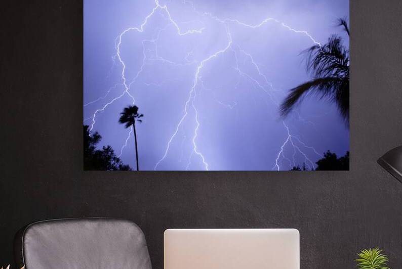 Tropical Storm by Bo Insogna