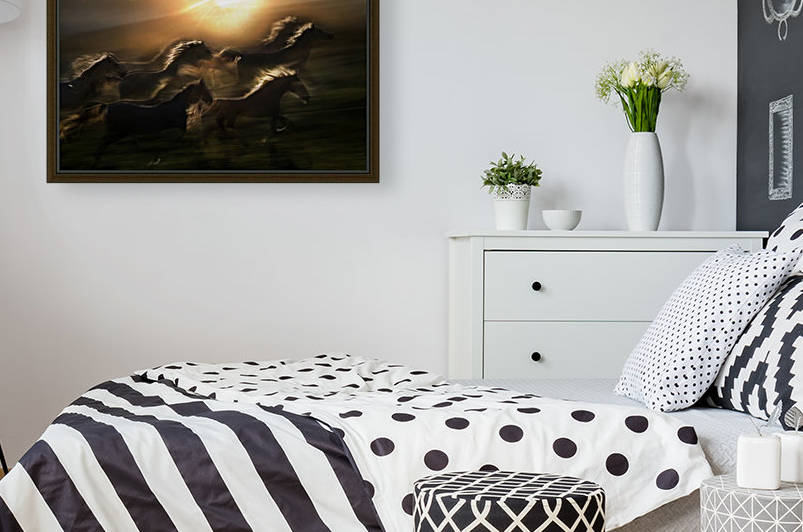 morning  gallop by 1x