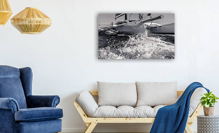 IMG 4397 by Coastal Life Media