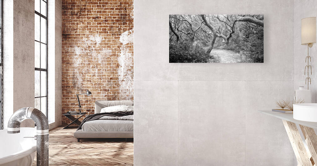 2022 Sept 27 ElliotCouesTrl03 by Robert Decker