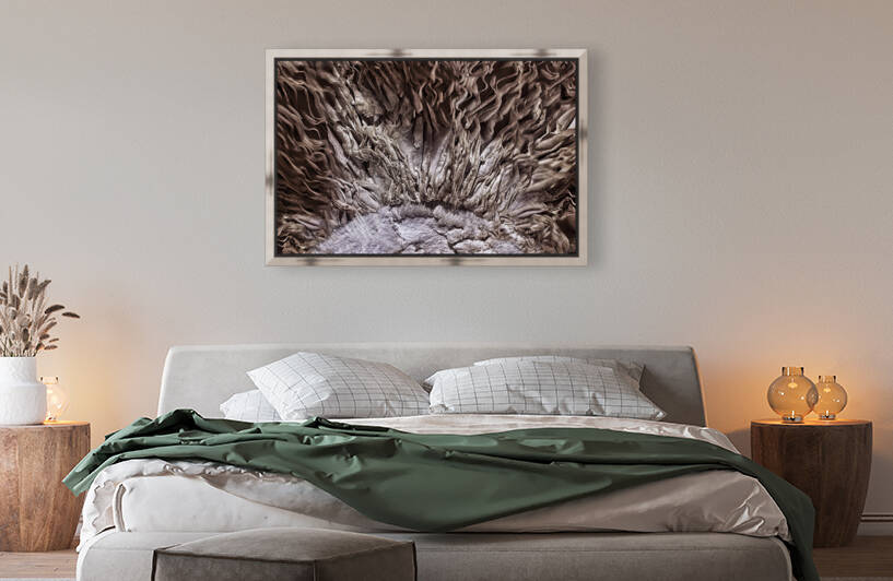 Shitake Groove by Barbara Linkevitch