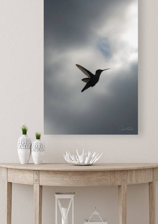 Ombre chinoise de colibri by Sophie Thibault