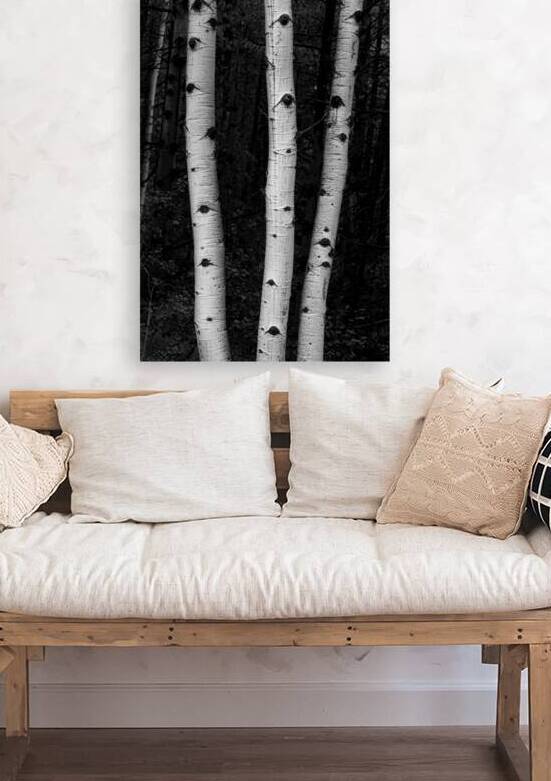 Coming Out Of Darkness by Bo Insogna