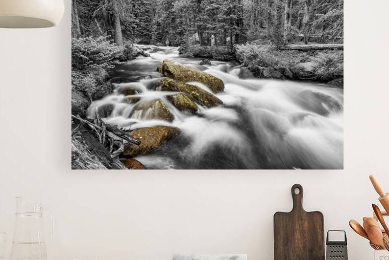 Roosevelt National Forest Stream BW Selective by Bo Insogna