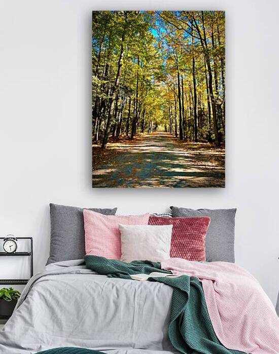 Tunnel of Trees - Assawoman Bay Wildlife Area by Bill Swartwout Photography