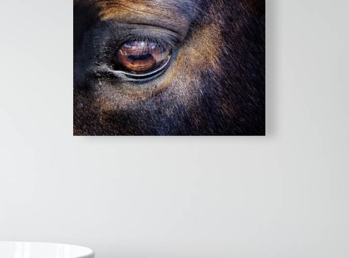 Equine 3 by Dave Rodgers