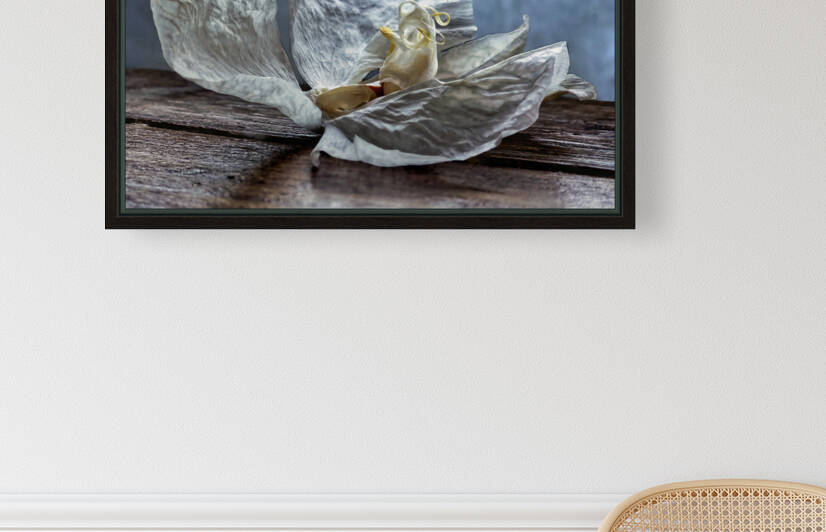 Second Dying Orchid by Barbara Linkevitch