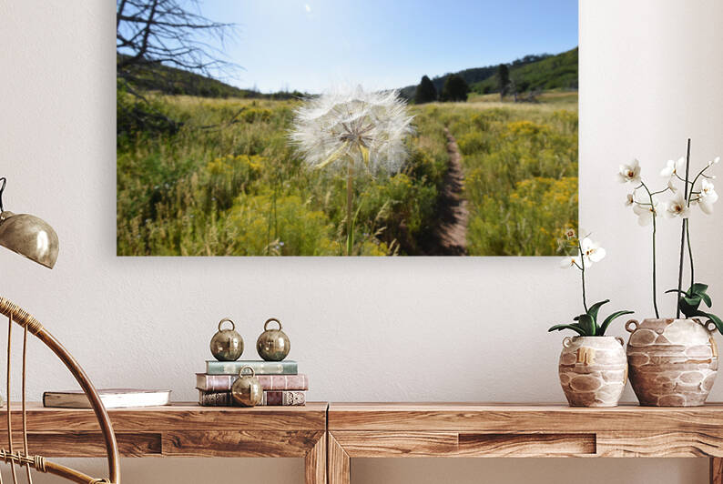 Make a Wish by Sara Owen Musselman